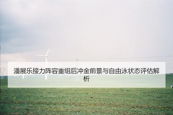 潘展乐接力阵容重组后冲金前景与自由泳状态评估解析